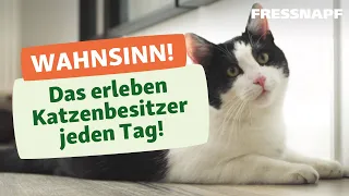 7 typische Situationen, die nur Katzenbesitzer kennen