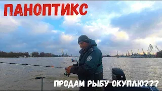 КУПИЛ ПАНОПТИКС! Мешки РЫБЫ КУДУ ЕЕ ДЕВАТЬ??? ОЖИДАНИЕ И РЕАЛЬНОСТЬ