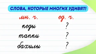 Слова, которые многих удивят! Как они изменяются в форме единственного числа? | Русский язык