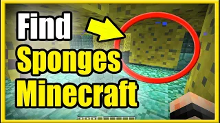 2 Ways to Get a Sponge in Minecraft (Find SPONGE ROOM & Slay Elder Guardian)