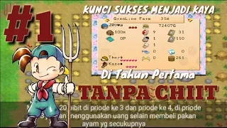 Tips Menjadi Kaya di Harvest Moon Back To Nature Bahasa Indonesia - Spring #1