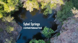Sybel Springs - Litchfield National Park