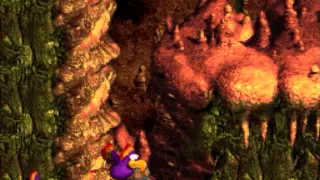 Donkey Kong Country 3 Clean Playthrough - No Deaths, Bonuses or Commentary (60fps)