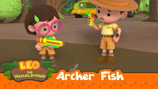 Archer Fish | What's That Shooting At Me?? A Fish?? | Leo the Wildlife Ranger Season 2