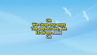 Moby - The Perfect Life (Karaokê)