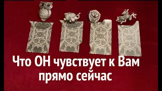 Что ОН чувствует к ВАМ прямо сейчас🔔💖 И ПОЧЕМУ⁉️Таро расклад🔮Послание СУДЬБЫ