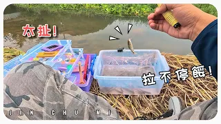 【釣魚津觸咪】手竿釣溪魚，釣到會膩餒.. #V特 #路亞 #JinChuMi #JCM #Fishing #Lure