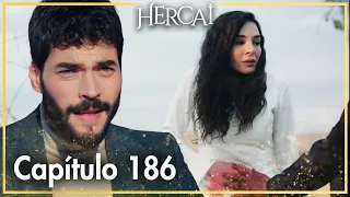 Hercai - Capítulo 186