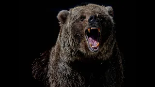 Buckshot for Bear Defense? Are you Crazy?!