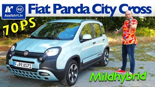 2020 Fiat Panda City Cross Hybrid - Kaufberatung, Test deutsch, Review, Fahrbericht Ausfahrt.tv