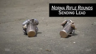 Norma Oryx and TIPSTRIKE - Ballistic Test