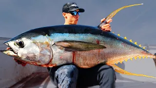 MONSTER Yellowfin Tuna in 300 FEET! (Small Boat)