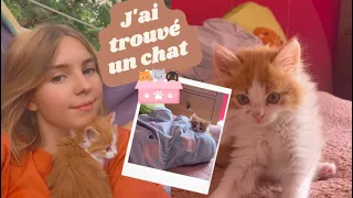 J'ai trouvé un chaton abandonné