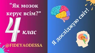 "Як мозок керує всім?"