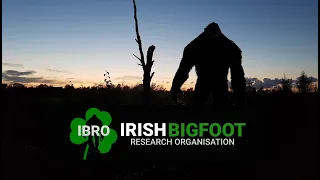 Ep. 304 Irish Bigfoot Research Organisation