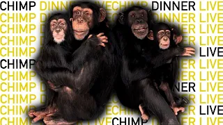 The NEW Chimp Dinner Live 03.06.2022