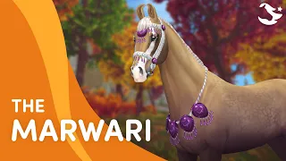 Meet The Marwari! 😍🐎 | Star Stable Breeds