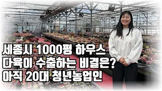 미소와 웃음소리가 매력적인 20대 청년농업인이 운영하는 세종시 1000평 다육이 하우스 (바람꽃 다육식물원 채민정 대표의 휴먼스토리)