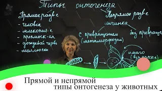 Прямой и непрямой типы онтогенеза у животных. 7 класс.