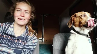 A Weekend at Home with Athena & Oslo | vlog