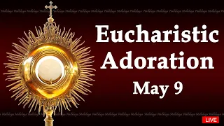 Powerful Eucharistic Adoration I Thursday May 9 2024 I 3.00 Pm