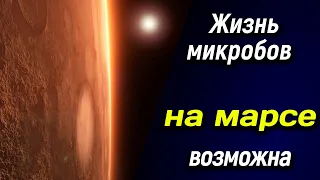 🔴 Горные породы Марса оказались пригодными для поддержания жизни микробов 🔴