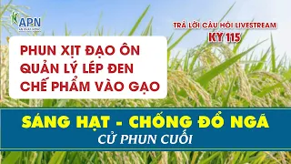 APN - SÁNG HẠT - CHỐNG ĐỔ NGÃ CỬ PHUN CUỐI | ĐẠO ÔN, LEM LÉP, VÀO GẠO NHANH