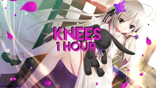 Nightcore - Knees (1 Hour)