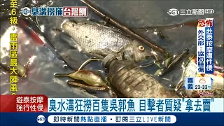 水溝魚你敢吃？目擊臭水溝狂撈百隻吳郭魚 民眾質疑"拿去賣"！｜記者 方品文 王子瑜｜【LIVE大現場】20180414｜三立新聞台