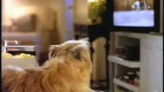 1990's VHS Video Rental PSA