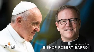 Bishop Barron on Pope Francis' "Amoris Laetitia"