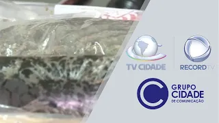 Trio é preso com droga sintética em área nobre da capital | Cidade Alerta CE