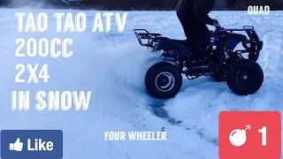 Tao Tao 200cc 2x4 in snow four wheeler quad atv