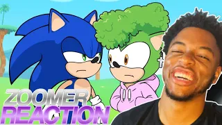 Zoomer The Hedgehog | SONIC Parody REACTION! @Flashgitz