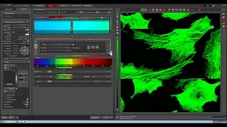 Leica SP8 LAS X basics & GFP Z stack