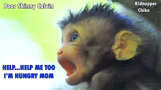 HELP...HELP ME TOO...I'M HUNGRY MOM !!! Poor Skinny Calvin Look at Mom Hopeless Return To Mom Milk