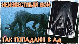 Неизвестный Вой - Unknown Howl | Creeypasta $ Scary Story Ужасы и страшные истории