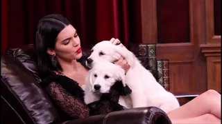 Kendall Jenner & James Franco Get Buried Under Puppies During Adorable ‘Tonight Show’ Game