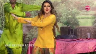 WARDA STAGE BEAUTIFUL PERFORMANCE - PAA JAPHIYAN NASEEBO LAL - PUNJABI SONG | SMB