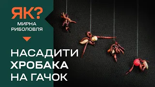 Як насадити хробака на гачок? Комбіновані насадки для вдалої риболовлі