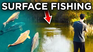 Surface Fishing For Carp - Made Easy! (I caught loads!)