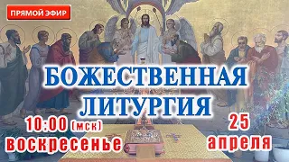 Прямая трансляция: Божественная литургия. Вербное воскресенье 25 апреля 2021