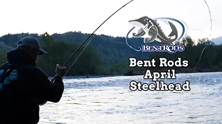 Bent Rods April 2016 Steelhead Chilliwack River