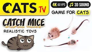 CAT TV - Catching mice 😻🐁 FOR CATS 🎶 4K 🔴 3 HOURS