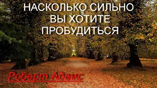 Насколько сильно вы хотите пробудиться?! [Р.Адамс, озв. Никошо]