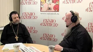 Радио «Радонеж». Протоиерей Димитрий Смирнов. Видеозапись прямого эфира от 2018.11.10