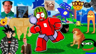 ROBLOX FIND THE MEMES