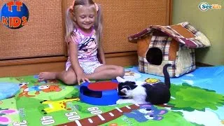 Кошки Игрушки и Сюрпризы для Котенка Барсика Видео для детей Play with Cat Video for Children