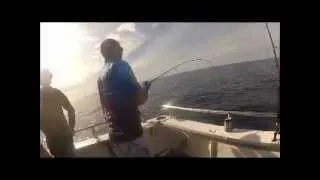 jigging with saltwater charters