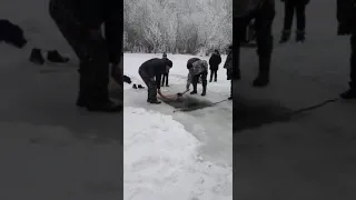 Крещение прикол